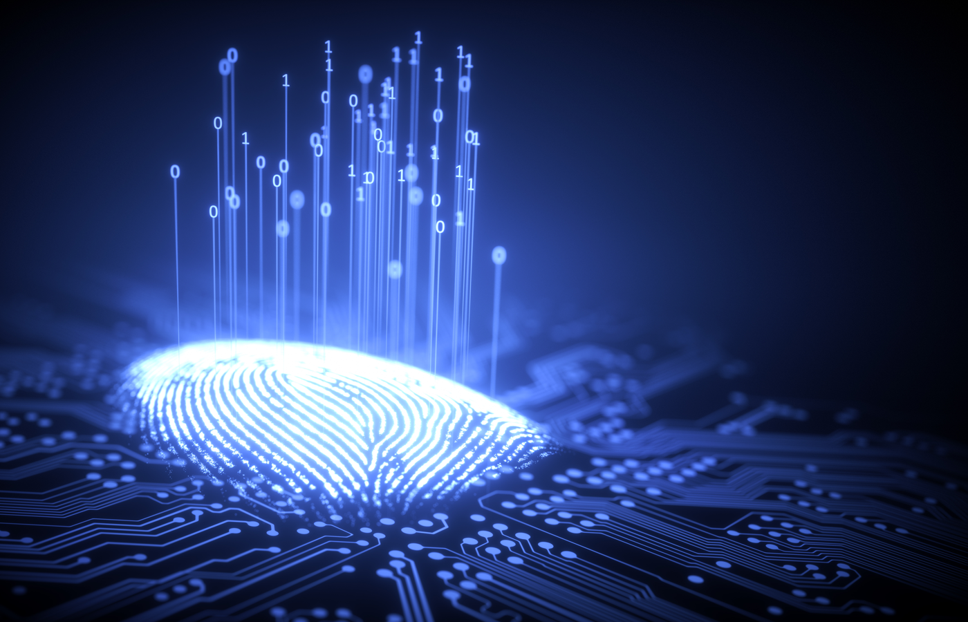 Fingerprint converted to binary values while embedded on a circuit grid.