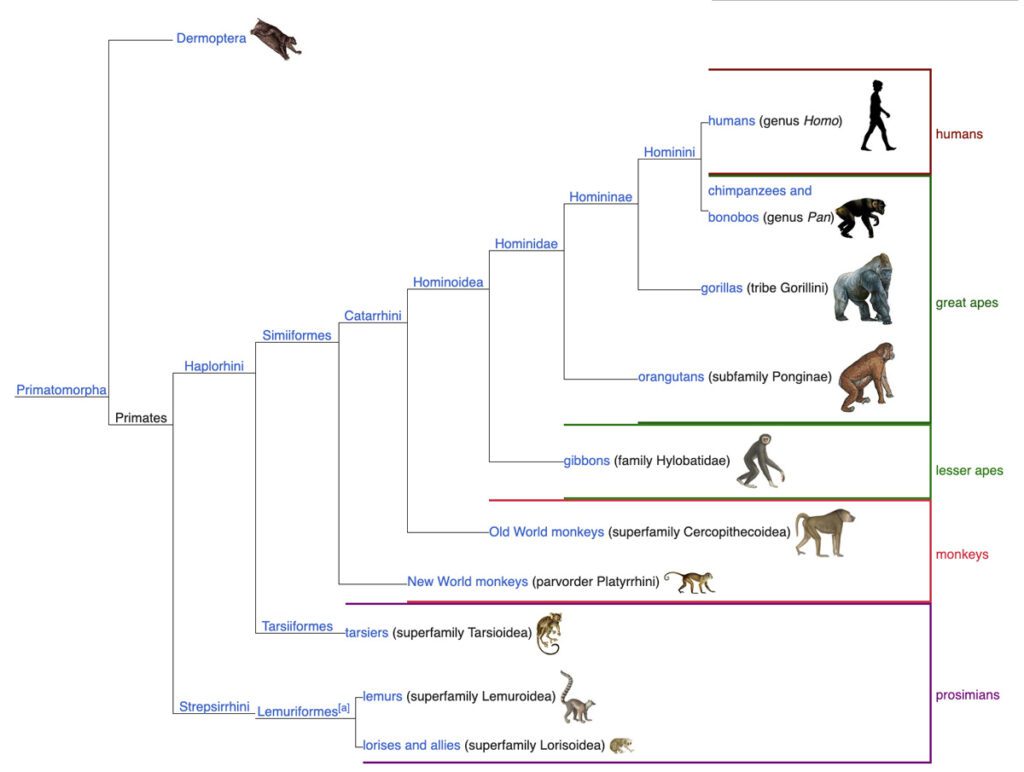 Hierarchical vs relational data models a comprehensive guide