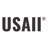 United States Artificial Intelligence Institute (USAII) icon.